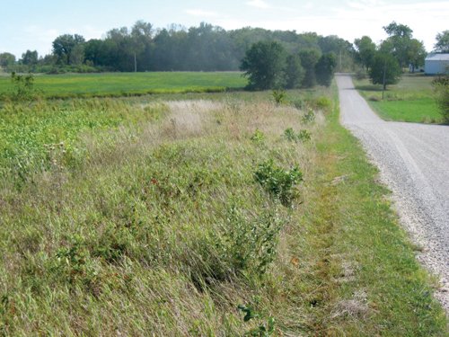 Property photo 25 - 110+/- Acres offered in 4 Tillable Tracts